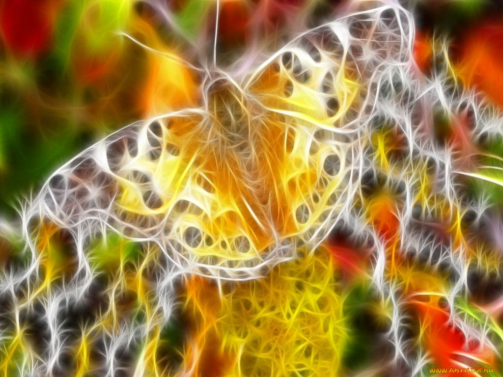 3, , animals, 